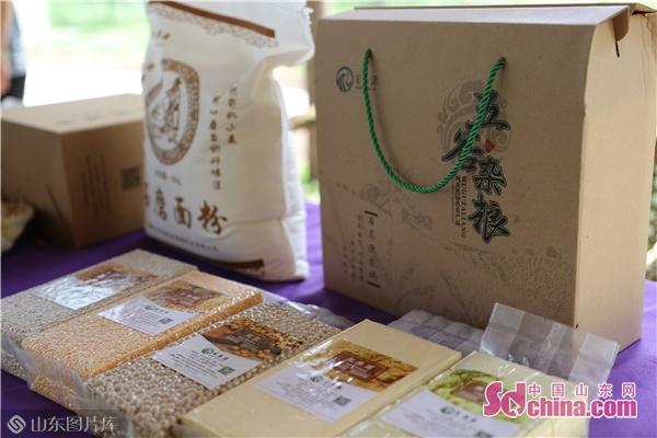 淄博在崛起 | 助力乡村振兴 百萃源打造绿色“梦工厂” 休闲观光活动