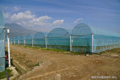 保山昌宁 示范引领助推乡村振兴 休闲观光活动激发展活力