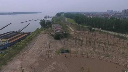 “灰码头”变身“绿公园” 一个休闲观光新地标的崛起
