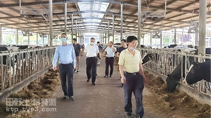 田野上科特派 嘉兆牧业奶牛科技创新示范基地开启休闲观光新篇章